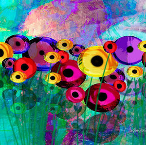 Meet your Posher, Ana